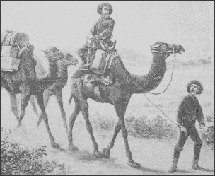 Picture of Camel Express