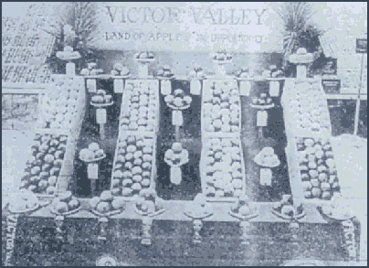 Photo of a state fair 
display for Victor Valley